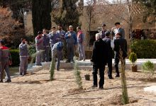 گزارش تصویری از آئیین درختکاری و تقدیر ازهمکاران فضای سبز دانشگاه